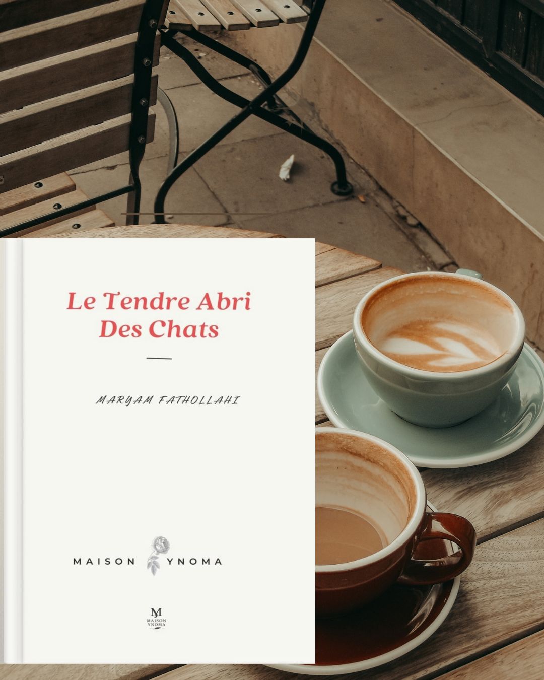 French Novel